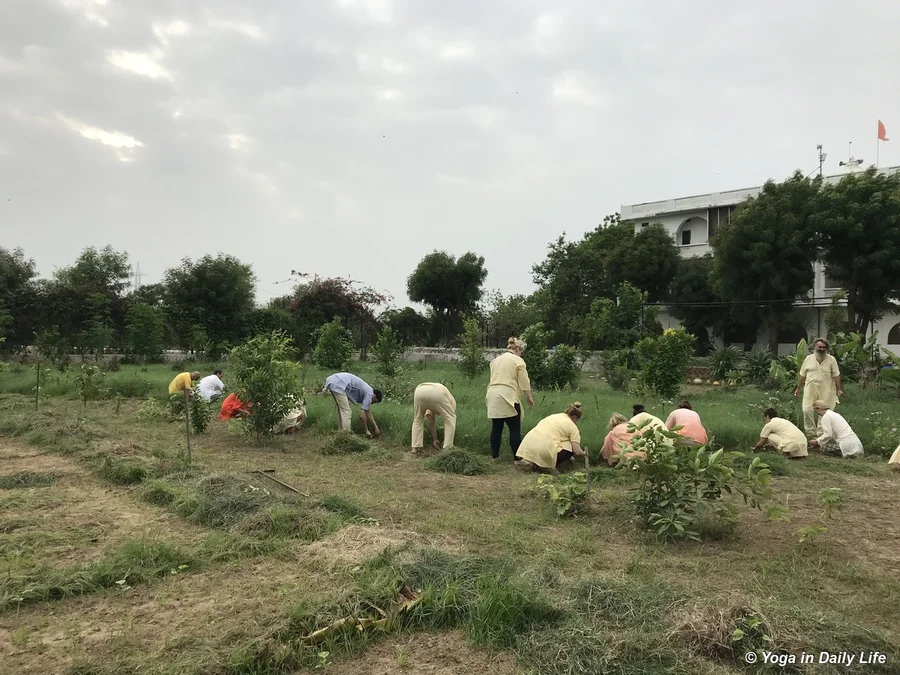 Extra hands make light work